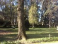 /album/fotos-del-viso/casa3-jpg/